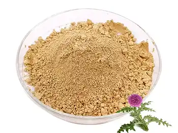 What is Milk Thistle Extract Powder used for?